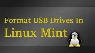 How To Format USB Drives In Linux Mint