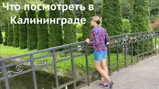 Что посмотреть в Калининграде ЛУЧШЕЕ