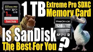 SanDisk 1TB Extreme Pro vs ProGrade - Which Is Best For You?