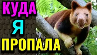 Болталка об уборке, ремонте  и культуре. Бас-профундо.  № 641