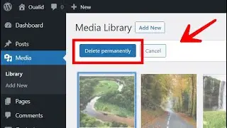 Bulk Delete Images in WordPress