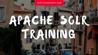 Apache Solr Training–Apache Solr Online Training(Apache Solr  Certification Tips)Apache Solr  Course