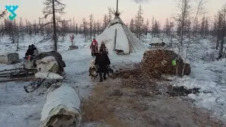 Путин наградил приуральского оленевода