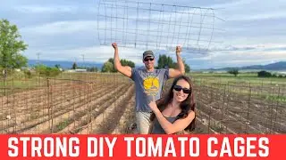 DIY Tomato Plant Cages That Are STRONG And STURDY