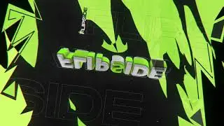 #1138 INTRO PARA Flipside