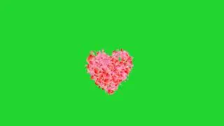 #Heart_shower_green screen Heart shower green screen bilkul free full hd 💔💔