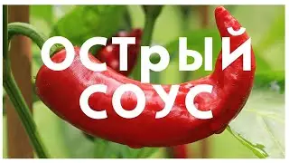 Острый Соус Из Перца | Как сделать острый соус | Острый соус из перца чили и хабанеро