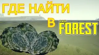 ГДЕ НАЙТИ В THE FOREST | УСТРИЦЫ