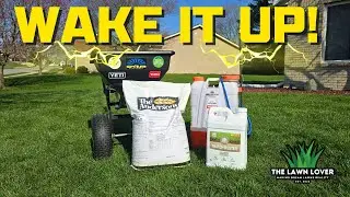 Spring Lawn Care: Its GO TIME! #diylawncare