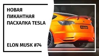 Elon Musk News Digest №74 (12.12.18-18.12.18) |in Russian|