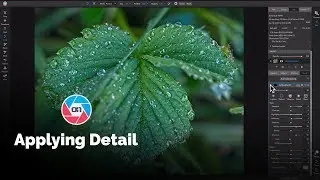 Applying Detail in ON1 Photo RAW - ON1 Recorded Webinar