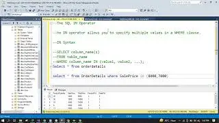 SQL IN Operator