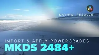 Importing and Applying the MKDS 2484+ PowerGrade | with AlexTheCreative