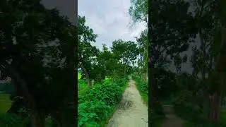 প্রকৃতিই শান্তি 🍃🌴🌱 #foryouシ #foryoupage #nature #naturelovers #reelsviral #village  #bangladesh