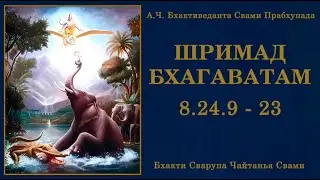 ШБ 8.24.9  - 23