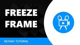 Movavi Video Editor: How to Add Freeze Frame in Movavi Video Editor