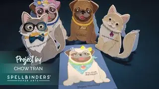 Big Pug cards