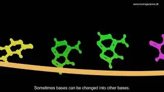 COVID-19 mutations and strains (Delta, Omicron) - what is it ? Animated explainer