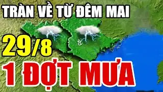 Dự báo thời tiết hôm nay và ngày mai 29/8/2024 | dự báo bão mới nhất | thời tiết 3 ngày tới