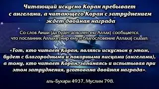 🎧 СЛУШАЙТЕ КОРАН ПЕРЕД СНОМ - ЛЕЧЕБНАЯ ДЛЯ ДУШИ, ТЕРПИ О МОЯ Душа star pro tj