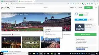 You can copy and paste images in Google Sheets