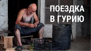 День из жизни в грузинской деревне и скачки в Бахмаро I Источник Набеглави | Гурия Грузия