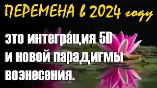 Резонанс – тема радости 2024 года