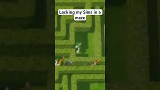 I locked 8 Sims in a maze #shorts #thesims #sims4