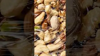 How to Create a Realistic Plastic Effect in Photoshop 2024 