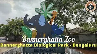 Exploring Bannerghatta Zoo | A Wildlife Adventure Near Bangalore | Bannerghatta Biological Park | 4K