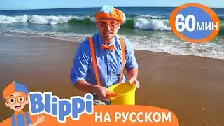 Учим цвета и счёт на пляже | Обучающие видео для детей | Blippi Russian