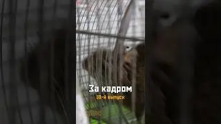 На съёмках восемнадцатого выпуска киножурнала «ВСЛУХ!»