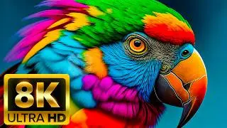 THE AMAZING ANIMAL CLAN - 8K (60FPS) ULTRA HD - With Nature Sounds (Colorfully Dynamic)