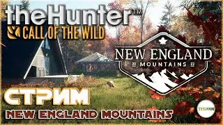 🔴THE HUNTER: CALL OF THE WILD🔴 - NEW ENGLAND MOUNTAINS. НОВЫЙ ЗАКАЗНИК.