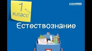 Естествознание. 1 класс. Что такое искусственные источники света /09.04.2021/