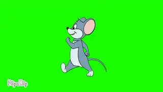 Jerry walking Green Screen | Tom And Jerry