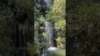 Waterfall 🥰 #shorts #shortsvideo #youtubeshort #shortsfeed #short