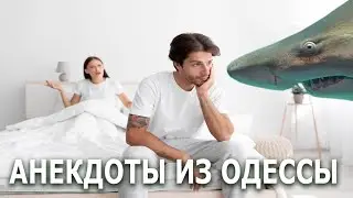 Серьезный Разговор Мужа и Жены... Анекдоты из Одессы №377