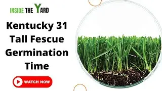 All  You Need To Know About Kentucky 31 Tall Fescue Germination Time