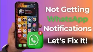 NOT Getting WhatsApp Notifications 🔥 Fixed!