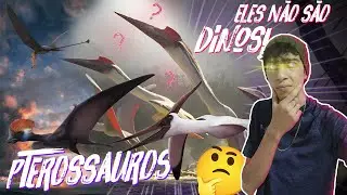 Eles Não São Dinossauros! Entenda de Vez os Pterossauros!