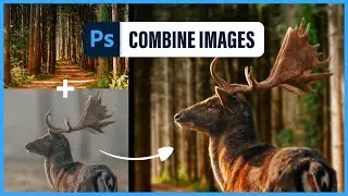 COMBINE IMAGES and merge them into one picture in Adobe Photoshop (1 min tutorial)