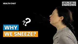 Why do we sneeze?