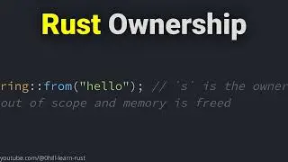 The Ownership System in the Rust Programming Language