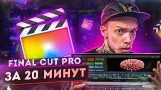 МОНТАЖ В FINAL CUT PRO | Подробный гайд для новичков от А до Я. Библиотека Эффекты Цветокор