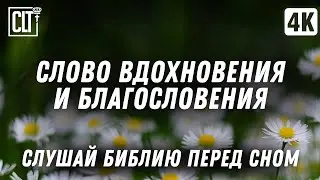 Ночью вспоминал я имя Твое, Господи, и хранил закон Твой | Библия перед сном | Relaxing