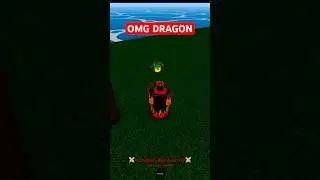 Would you do this with Dragon Fruit? 💀 Blox Fruits