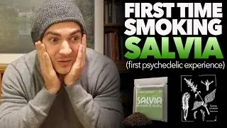 Salvia Trip Report: "My First Psychedelic"