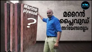 എന്താണ് മറൈൻപ്ലൈവുഡ്| Plywood|Marine Plywood|Quality of marine plywood|BWP 710 plywood| Dr.Interior.