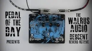 Walrus Audio Descent Reverb Octave Machine Guitar Effects Pedal Demo Video